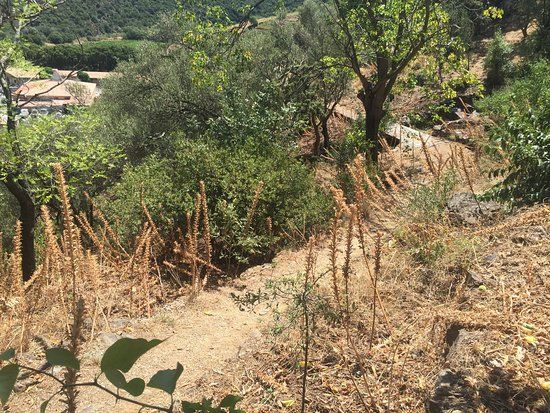 Jardin Mediterranean du Mas de la Serre